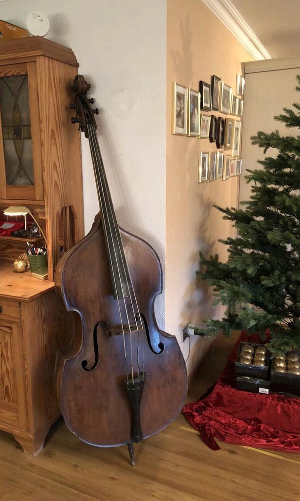 Oude kapotte Contrabas GEZOCHT, Muziek en Instrumenten, Strijkinstrumenten | Contrabassen, Gebruikt, Ophalen