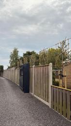 Leibomen ACTIE! Leiboom Steeneik - Quercus ilex, Tuin en Terras, Planten | Struiken en Hagen, Ophalen of Verzenden