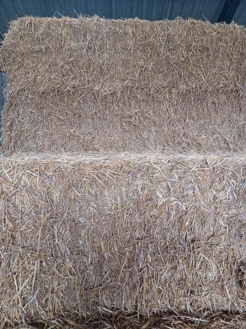 Tarwe stro/ grote balen stro/ strobalen, Dieren en Toebehoren, Dierenvoeding, Vee, Ophalen