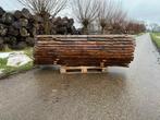 Vers gezaagde essen schaaldelen – 50 mm – Live edge, Ophalen, 25 tot 50 mm, Nieuw, 200 tot 250 cm