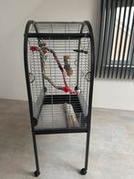 Te koop papegaaien kooi, Dieren en Toebehoren, Vogels | Hokken en Kooien, Ophalen, Metaal, Vogelkooi