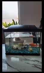 Mooie aquaria, Dieren en Toebehoren, Vissen | Aquaria en Toebehoren, Ophalen, Zo goed als nieuw, Leeg aquarium
