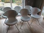 6 witte Tonon Concept Stoelen - wie biedt?, Ophalen, Gebruikt, Wit, Modern