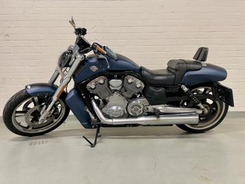 HARLEY-DAVIDSON V-ROD MUSCLE VRSCF (bj 2009) beschikbaar voor biedingen