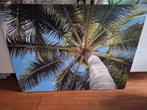 Canvas Foto Palmboom - 120x90cm, Ophalen of Verzenden