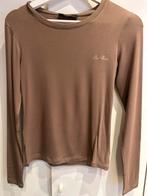 Sweater Loro Piana, Kleding | Dames, Tops, Ophalen of Verzenden, Zo goed als nieuw, Grijs, Lange mouw