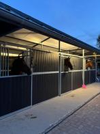 Stalhulpen gezocht voor ons boerderijtje met paarden, Diensten en Vakmensen