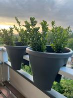 2 grijze elho balkon bakken met plantjes!, Ophalen, Kunststof, Minder dan 30 cm, Balkon