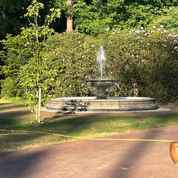 Verhoogde vijverrand fontein waterval beschikbaar voor biedingen