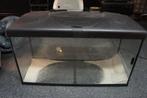 Ferplast aquarium model Capri 80 complete set, Ophalen, Zo goed als nieuw, Leeg aquarium