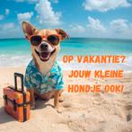 Hondenoppas in huiselijke sfeer, geen kinderen, grote tuin, Particuliere oppas