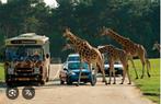4 entreekaarten Beekse Bergen, Tickets en Kaartjes, Drie personen of meer, Ticket of Toegangskaart