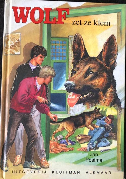 Serie Wolf - Jan Postma, Boeken, Kinderboeken | Jeugd | onder 10 jaar, Zo goed als nieuw, Fictie algemeen, Ophalen of Verzenden