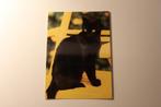 Katten Postkaart - Zwarte Poes, Kat, POPP FF 1303 Duitsland, Verzamelen, Ansichtkaarten | Dieren, Ongelopen, Verzenden, 1980 tot heden
