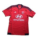 Olympique Lyon uitshirt - 2015/16 - 10/10 (M), Ophalen of Verzenden, Zo goed als nieuw, Shirt