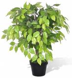 Kunstplant kamerplant vijgenboom 60 cm GRATIS BEZORGD!, Verzenden, Nieuw, Binnen