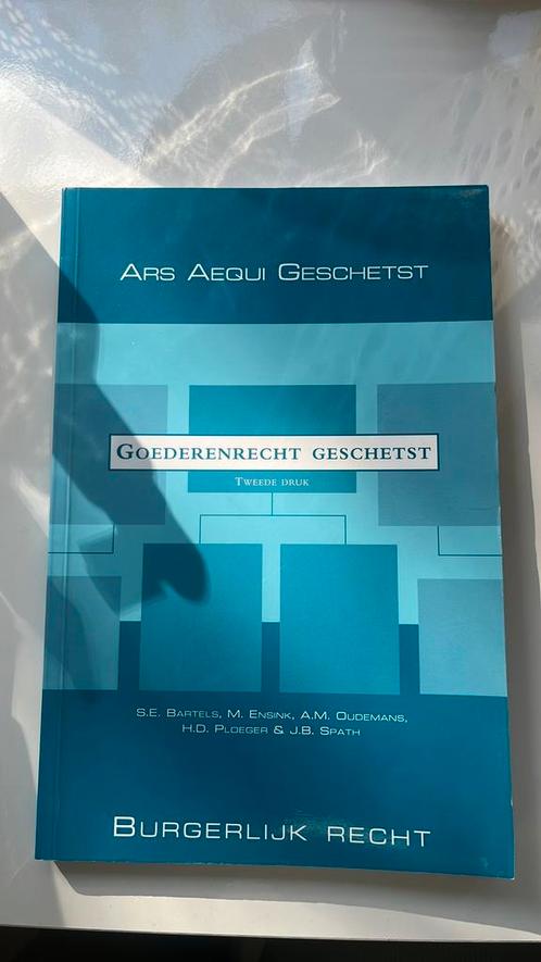 A.M. Oudemans - Goederenrecht geschetst, Boeken, Wetenschap, Zo goed als nieuw, Ophalen of Verzenden