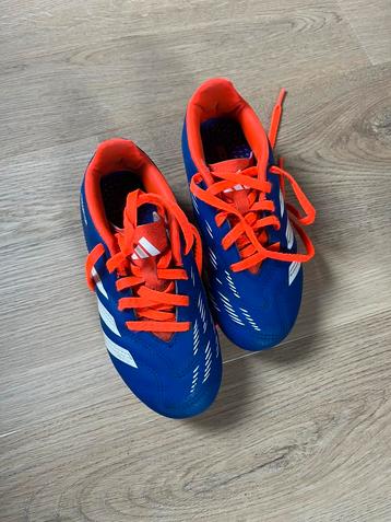 Adidas voetbal schoenen 31 beschikbaar voor biedingen