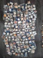 Grote verzameling schelpen met veelal verpakt enomschrijving, Ophalen of Verzenden, Gebruikt