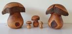 Paddenstoelen (antroposofisch), Kinderen en Baby's, Speelgoed | Houten speelgoed, Ophalen of Verzenden, Zo goed als nieuw