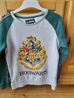 Harry Potter trui maat 158, Verzamelen, Harry Potter, Ophalen of Verzenden, Zo goed als nieuw, Overige typen