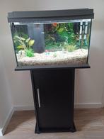 Aquarium  60 x 40 incl.kastje, Ophalen of Verzenden, Zo goed als nieuw, Leeg aquarium