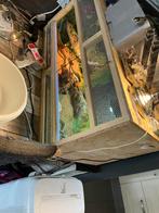 Terrarium, Dieren en Toebehoren, Reptielen en Amfibieën | Toebehoren, Ophalen, Terrarium of Paludarium