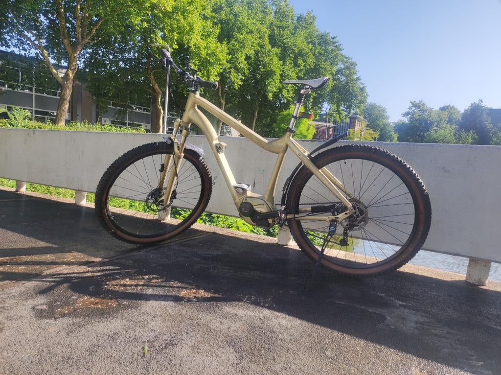 Elektrische fiets - Gouden E-Bike met Schwalbe banden, Ophalen