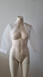 Witte organza bolero met driekwart mouwen-maat 38, Maat 38/40 (M), Wit, Nieuw, Ophalen of Verzenden