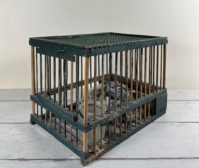 Vintage Frans groen houten vogelkooi met ruif en voerpotje, Ophalen of Verzenden