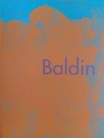 Wim van der Beek - BALDIN - de magie van het moment -, Ophalen of Verzenden, Zo goed als nieuw