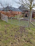 Schapenhek weidepoort, Mannelijk, Schaap