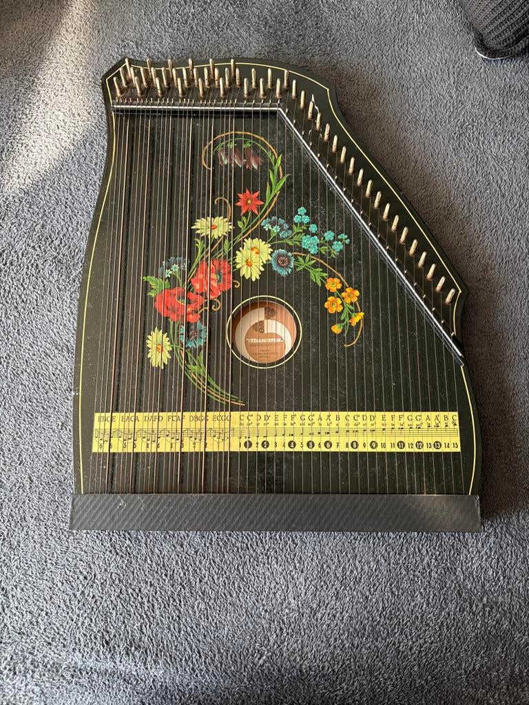 Vintage Autoharp met Bloemenprint - Zeldzaam Muziekinstrumen, Muziek en Instrumenten, Snaarinstrumenten | Overige, Ophalen, Gebruikt