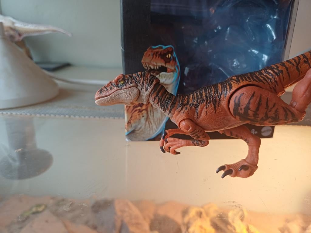 Hammond collection tiger raptor, Ophalen of Verzenden