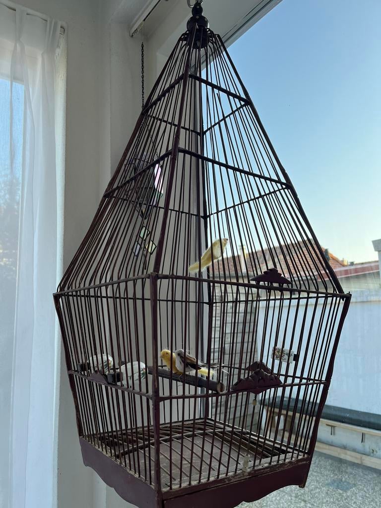 Antieke vogelkooi bench, Ophalen, Zo goed als nieuw, Metaal, Vogelkooi