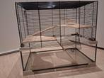 Mooie hamsterkooi, Dieren en Toebehoren, Knaagdieren en Konijnen | Hokken en Kooien, Ophalen, Zo goed als nieuw, Kooi