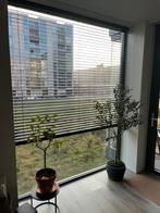 Lamellen, plissé en gordijnen met rails, Ophalen, Gebruikt, Zwart, 200 cm of meer