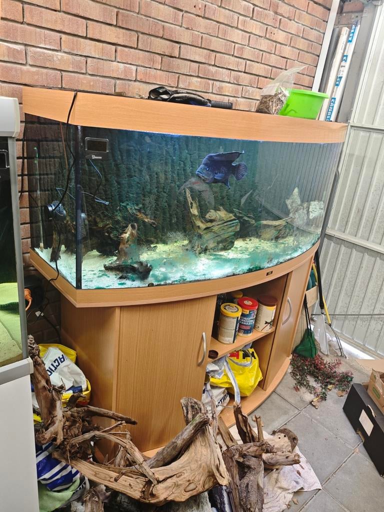 Juwel Vision 450 met LED verlichting en 3D achterwand, Ophalen, Gebruikt, Leeg aquarium