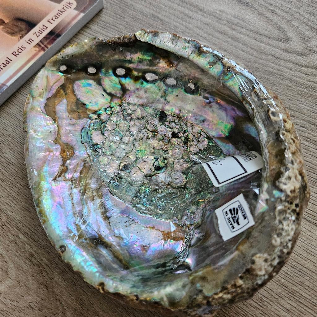 Abalone schelp nieuw in verpakking was 15 euro, Hobby en Vrije tijd, Ophalen, Nieuw