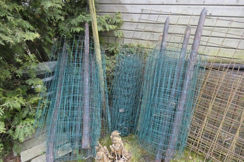 Schapengaas, Ophalen of Verzenden, Zo goed als nieuw, 20 meter of meer, Gaas