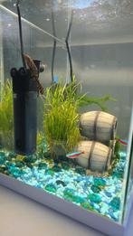 Fish Aquarium, Dieren en Toebehoren, Ophalen