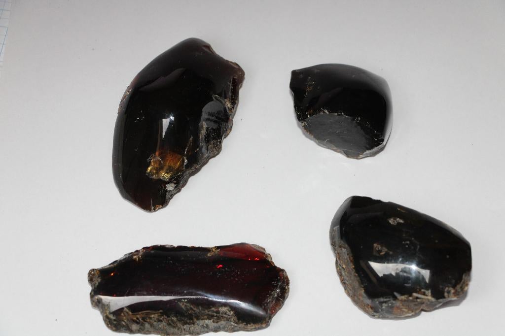 Amber (4pcs), Ophalen of Verzenden, Fossiel
