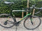 Wilier GTR Racefiets - Campagnolo  - Maat XXL, Overige merken, Gebruikt, 10 tot 15 versnellingen, Heren