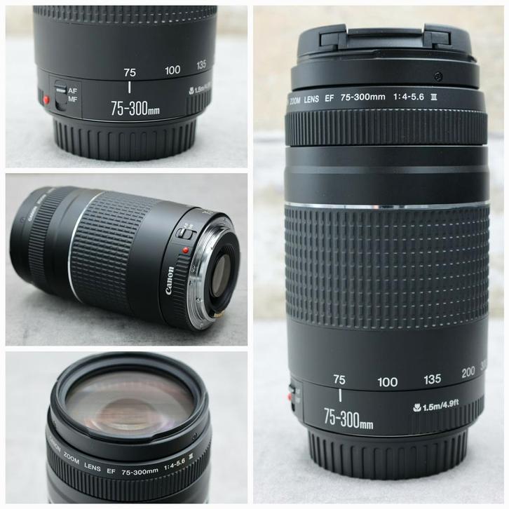 Canon EF 75-300 mm Telelens F4-5.6 MK III Zoomlens Autofocus, Audio, Tv en Foto, Fotografie | Lenzen en Objectieven, Zo goed als nieuw