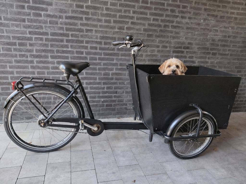 Babboe big bakfiets voor honden, Ophalen, Gebruikt, Babboe, 1 kind