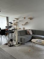 NIEUW! Woonruimte te huur Victoriagang, Zoetermeer