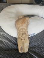 Bodemvondst romeinse, Ophalen of Verzenden, Gebruikt