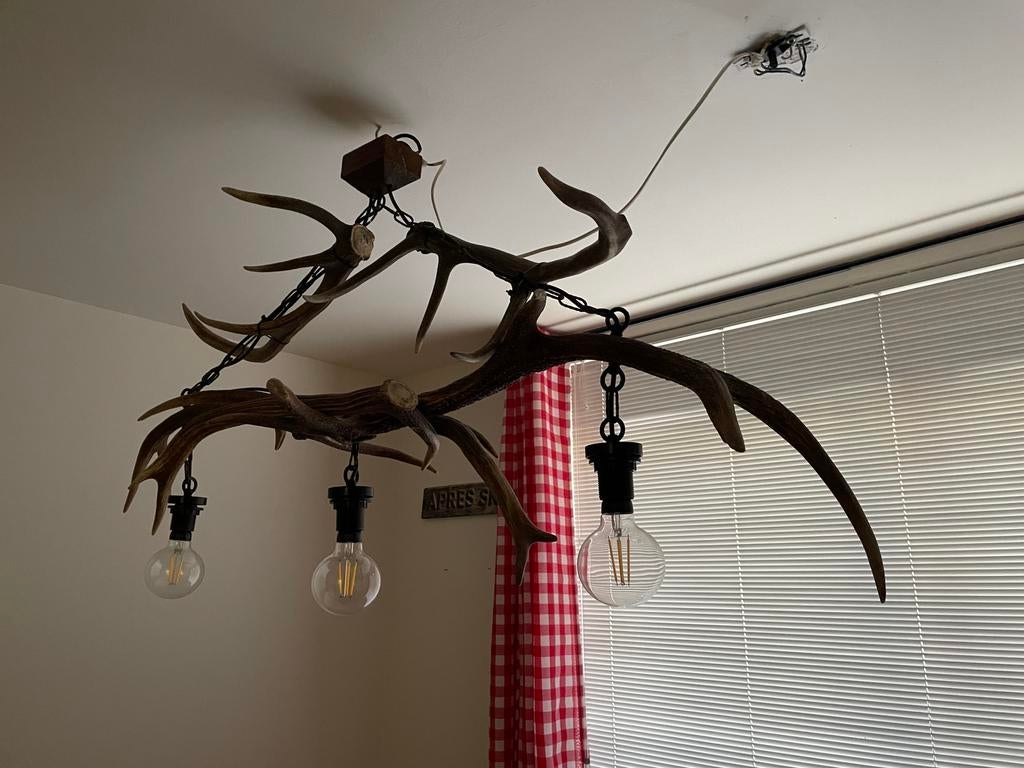 Geweien lamp, Ophalen, Zo goed als nieuw, Overige materialen, 75 cm of meer