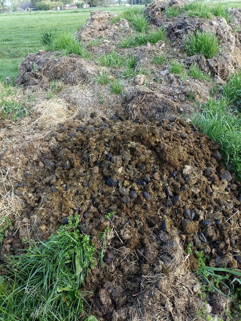 Paardenmest uit stal en weide - Nieuweroord, Drenthe, Ophalen, Mest