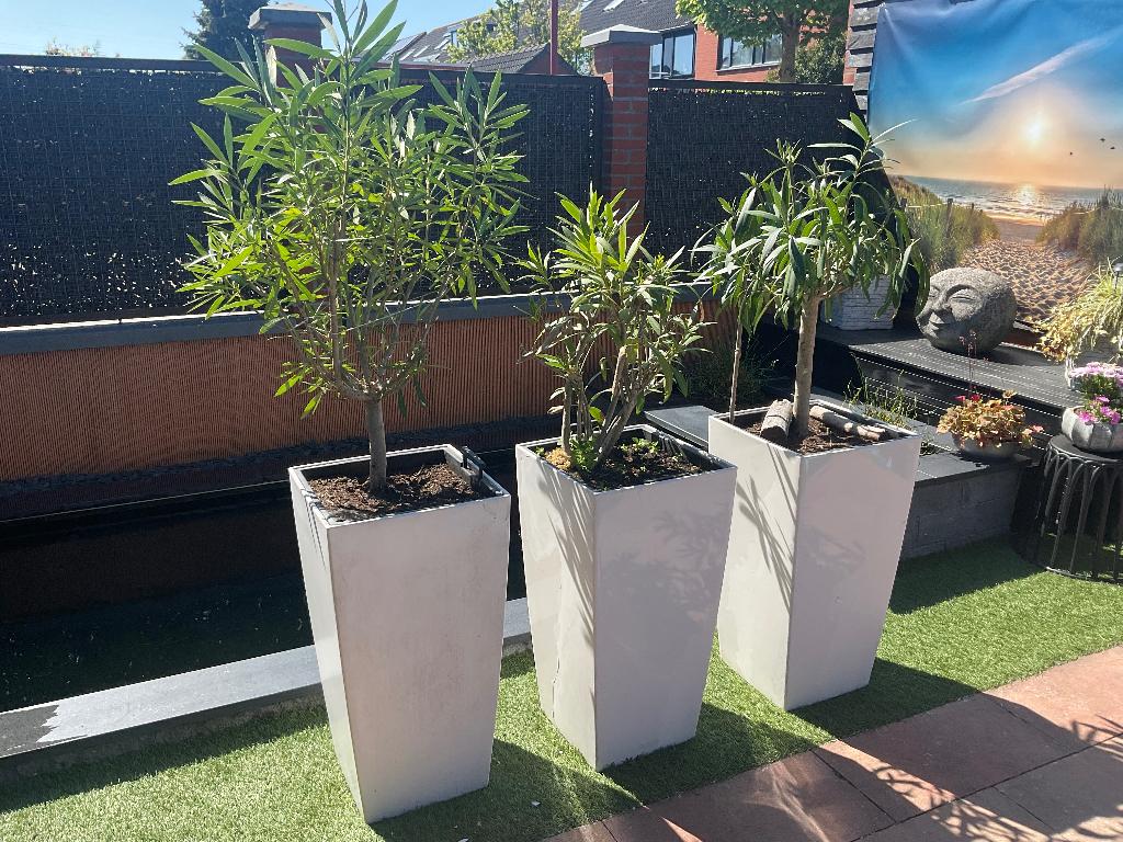 Plantenbak Lechuza, Ophalen, Kunststof, Gebruikt, Minder dan 60 cm